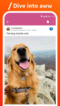 Herunterladen Reddit Nachrichten & Magazine für Android Bildschirmfoto 5