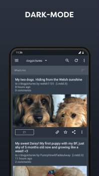 Herunterladen BaconReader for Reddit Nachrichten & Magazine für Android Bildschirmfoto 2