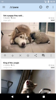 Herunterladen rif is fun for Reddit Nachrichten & Magazine für Android Bildschirmfoto 3