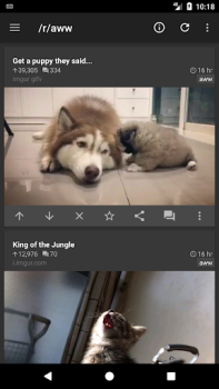 Herunterladen rif is fun for Reddit Nachrichten & Magazine für Android Bildschirmfoto 4