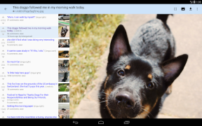 Herunterladen rif is fun for Reddit Nachrichten & Magazine für Android Bildschirmfoto 7