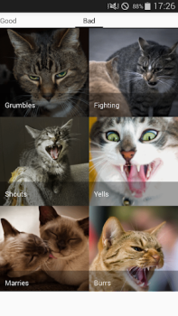 Herunterladen Cat sounds - play with cats Unterhaltung für Android Bildschirmfoto 3