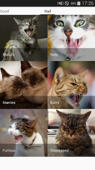 Herunterladen Cat sounds - play with cats Unterhaltung für Android Bildschirmfoto 4