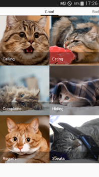 Herunterladen Cat sounds - play with cats Unterhaltung für Android Bildschirmfoto 5