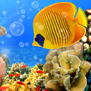 Herunterladen  Aquarium Live Wallpaper