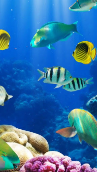 Herunterladen Aquarium Live Wallpaper Personalisierung für Android Bildschirmfoto 3