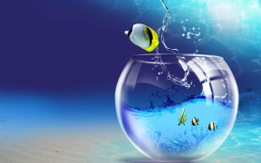 Herunterladen Aquarium Live Wallpaper Personalisierung für Android Bildschirmfoto 7