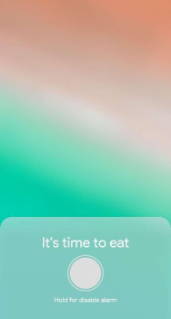 Herunterladen Meal Timer Gesundheit & Fitness für Android Bildschirmfoto 2
