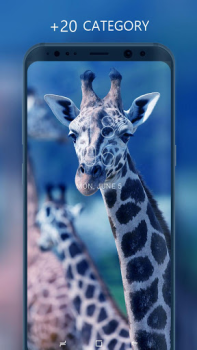 Hintergrundbilder
