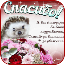 Herunterladen  Открытки и Kартинки Спасибо и Благодарю