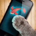 Herunterladen  Fish game toy for cats