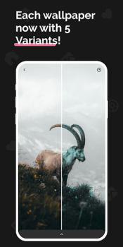 Herunterladen Prism - Exclusive Wallpapers & Setups Personalisierung für Android Bildschirmfoto 4