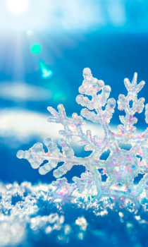Herunterladen Falling Snow Live Wallpaper (live background) Personalisierung für Android Bildschirmfoto 2