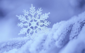 Herunterladen Falling Snow Live Wallpaper (live background) Personalisierung für Android Bildschirmfoto 4