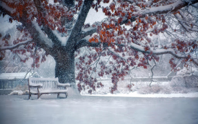 Herunterladen Falling Snow Live Wallpaper (live background) Personalisierung für Android Bildschirmfoto 6