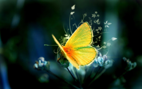 Herunterladen Butterflies Live Wallpaper Personalisierung für Android Bildschirmfoto 6