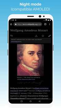 Herunterladen Kiwi Browser - Fast & Quiet Kommunikation für Android Bildschirmfoto 3