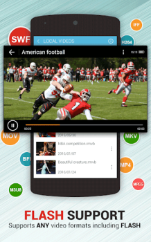 Dolphin Video - Flash Player