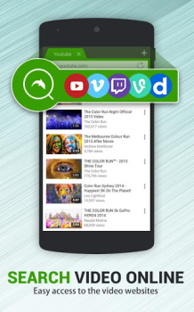 Dolphin Video - Flash Player