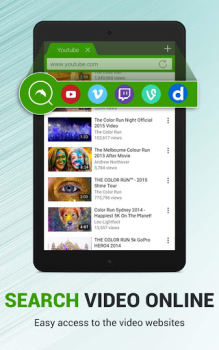 Dolphin Video - Flash Player