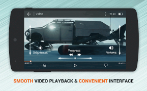 Dolphin Video - Flash Player
