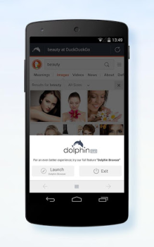Herunterladen Dolphin Zero Incognito Browser Kommunikation für Android Bildschirmfoto 3