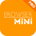 Herunterladen  Browser Mini Pro