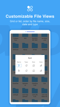 DV-Datei-Explorer: Dateimanage
