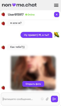 Herunterladen Анонимный чат [NoName.Chat] Partnersuche für Android Bildschirmfoto 4
