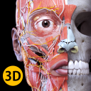 Herunterladen  Anatomie - 3D Atlas
