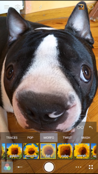 Herunterladen Cameringo Lite - Filter Kamera Foto für Android Bildschirmfoto 7