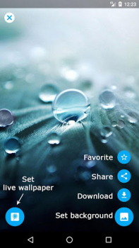 Herunterladen Löwenzahn Live-Hintergrund Personalisierung für Android Bildschirmfoto 6