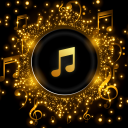 Herunterladen  Pi Music Player: Offline Music