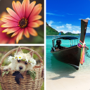 Herunterladen  Photo Collage Editor