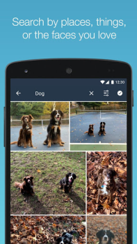 Herunterladen Amazon Photos Foto für Android Bildschirmfoto 4
