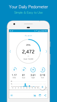 Accupedo Pedometer