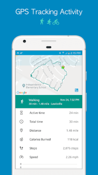 Accupedo Pedometer