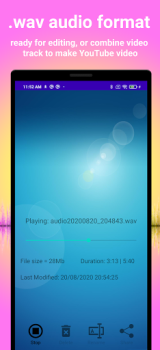 Herunterladen Earbuds Voice Recorder Musik und Audio für Android Bildschirmfoto 3
