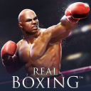 Herunterladen  Real Boxing