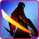 Herunterladen  Ninja Raiden Revenge