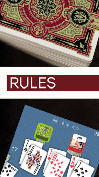 Herunterladen Durak - Rules of Card Games Bücher und Leitfäden für Android Bildschirmfoto 3