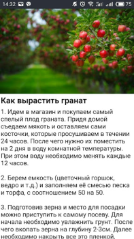 Herunterladen Дача и огород Хитрости Советы Bücher und Leitfäden für Android Bildschirmfoto 3