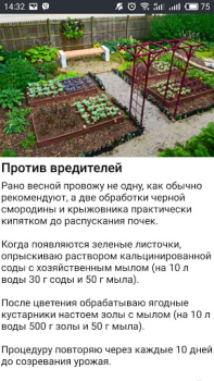 Herunterladen Дача и огород Хитрости Советы Bücher und Leitfäden für Android Bildschirmfoto 6
