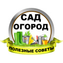 Herunterladen  Сад и огород Полезные советы