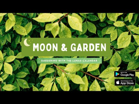 Herunterladen Mond Garten Lebensstil für Android Bildschirmfoto 8