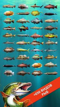 Herunterladen Let's Fish: Angeln Simulator Simulatoren für Android Bildschirmfoto 3