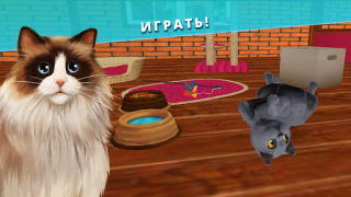 Herunterladen Pet Hotel – Pension für Tiere Simulatoren für Android Bildschirmfoto 2
