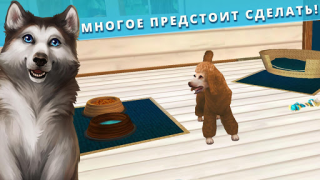 Herunterladen Pet Hotel – Pension für Tiere Simulatoren für Android Bildschirmfoto 4