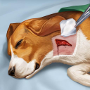 Herunterladen  Operate Now: Animal Hospital