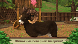 Herunterladen Pet World: WildLife America Simulatoren für Android Bildschirmfoto 5